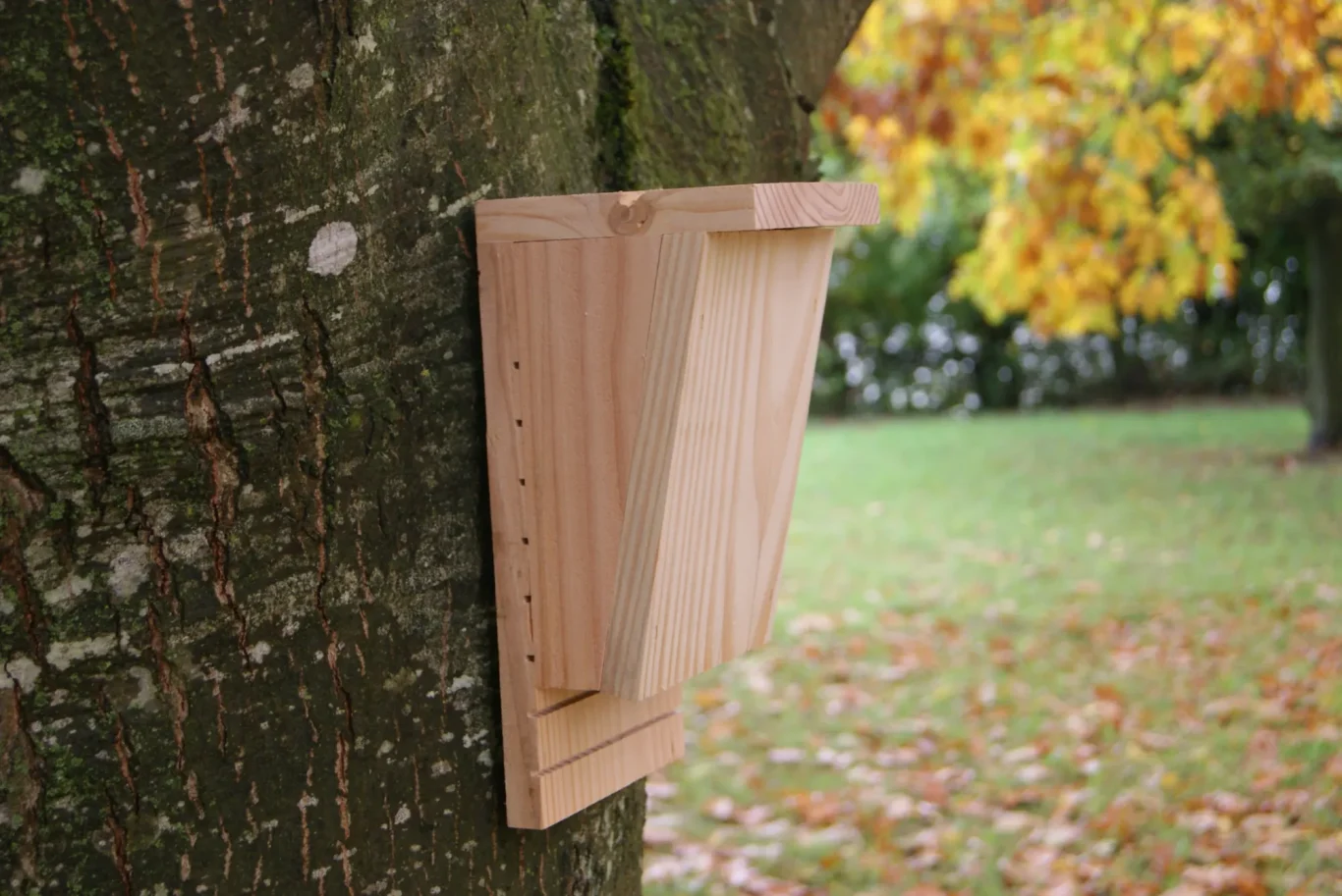Nichoir chauve-souris nichoir chauve souris, nichoir bois chauve souris