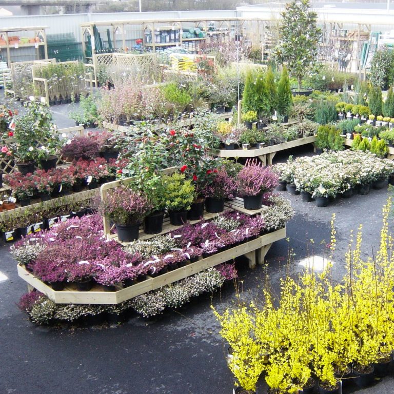 agencement jardinerie, fleuriste